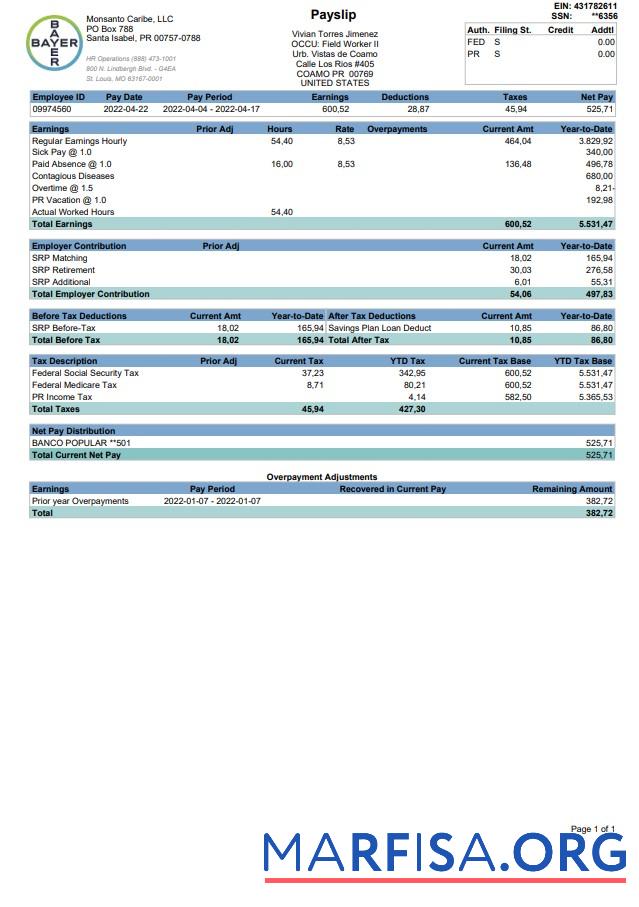 Printable Bayer Paystub 2022 (1) real example